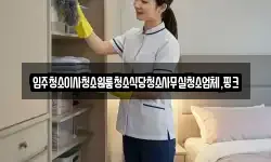 입주청소이사청소원룸청소식당청소사무실청소업체,핑크