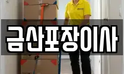 금산포장이사