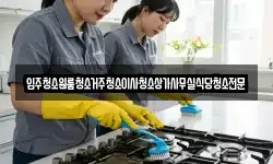 입주청소원룸청소거주청소이사청소상가사무실식당청소전문