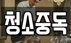 청소중독