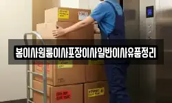 봄이사원룸이사포장이사일반이사유품정리