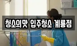 청소의맛 입주청소 계룡점