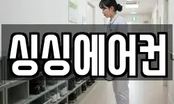 싱싱에어컨