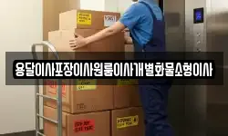 용달이사포장이사원룸이사개별화물소형이사