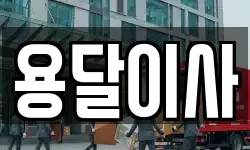 용달이사