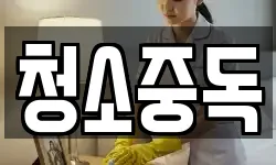 청소중독