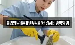 블라인드커튼커텐우드롤스크린콤비암막방염