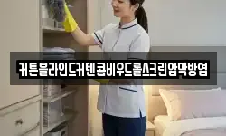 커튼블라인드커텐콤비우드롤스크린암막방염