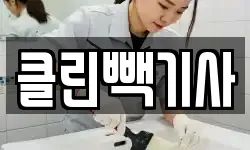 클린빽기사