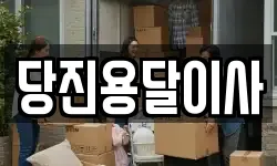 당진용달이사