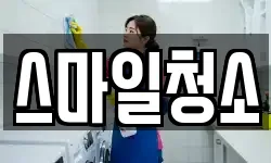 스마일청소