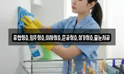 종합청소,입주청소,이사청소,준공청소,상가청소,줄눈시공