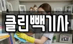 클린빽기사