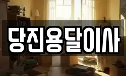 당진용달이사