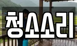 청소소리