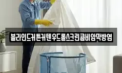 블라인드커튼커텐우드롤스크린콤비암막방염
