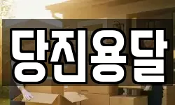 당진용달