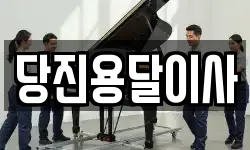 당진용달이사