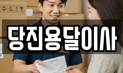 당진용달이사