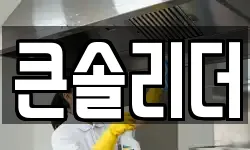 큰솔리더
