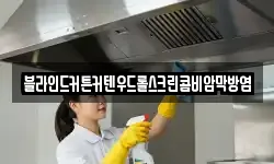 블라인드커튼커텐우드롤스크린콤비암막방염