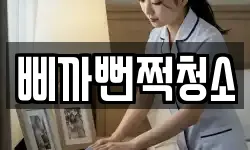 충남 당진시 신평면 청소,입주청소,사무실청소,에어컨청소