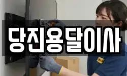 당진용달이사
