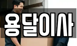 용달이사
