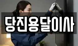 충남 당진시 우강면 이사,용달이사,포장이사,원룸이사,보관이사