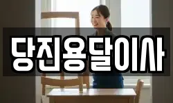당진용달이사