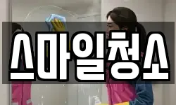스마일청소