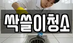 싹쓸이청소