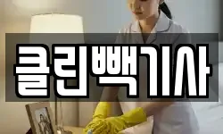 클린빽기사