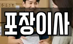 포장이사
