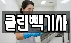 클린빽기사