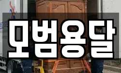 모범용달