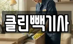 클린빽기사
