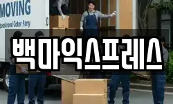백마익스프레스