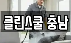 클린스쿨 충남