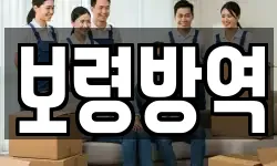 보령방역