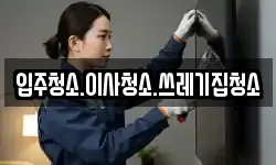 충남 보령시 남포면 이사,용달이사,포장이사,원룸이사,보관이사