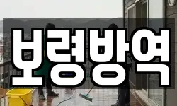 보령방역