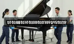 입주청소원룸청소거주청소이사청소상가사무실식당청소전문