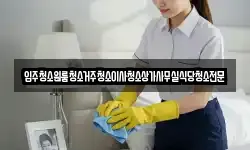 입주청소원룸청소거주청소이사청소상가사무실식당청소전문