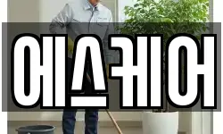 에스케어