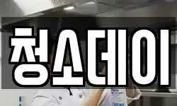 청소데이