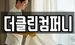 더클린컴퍼니