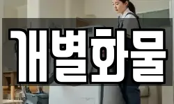 개별화물