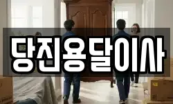 당진용달이사