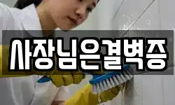 사장님은결벽증